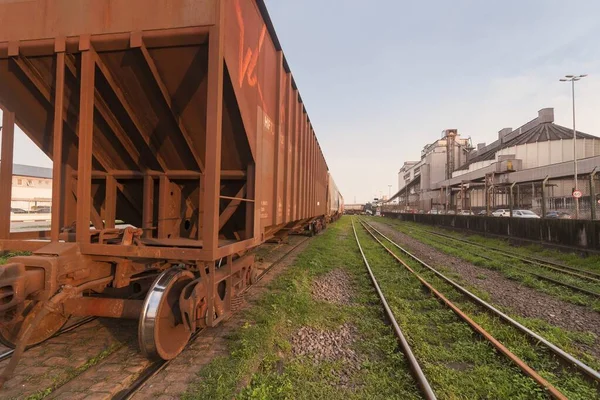 Demiryolunun Yanından Geçen Bir Yük Treni Santos Limanı Brezilya — Stok fotoğraf