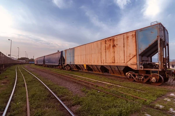 Tren Carga Pasando Por Ferrocarril Puerto Santos Brasil — Foto de Stock