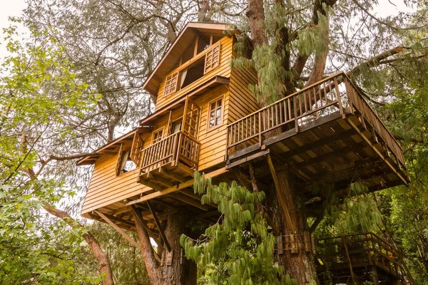 Campos, Jordao, Brezilya 'yı yapıyor. Ağaçtaki ahşap ev. Amantikir Parkı. 13 Şubat 2018. 