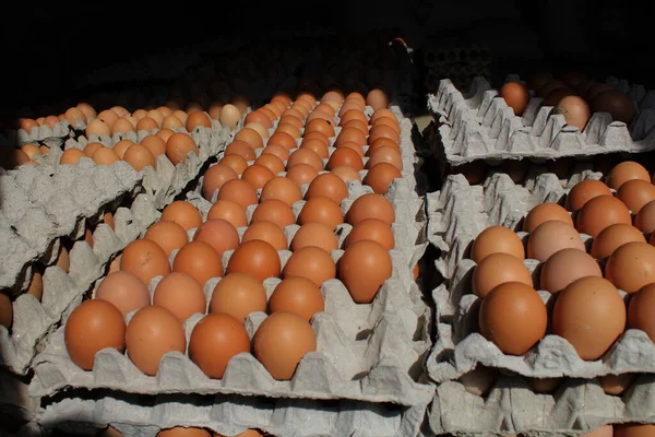 Chicken eggs in the eggtray