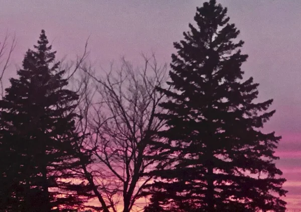 Purple Sunset Maine — Photo