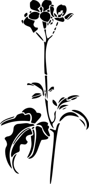 Flowers Vector Stencil Black White — 图库矢量图片