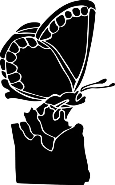 Butterfly Vector Stencil, Black and White