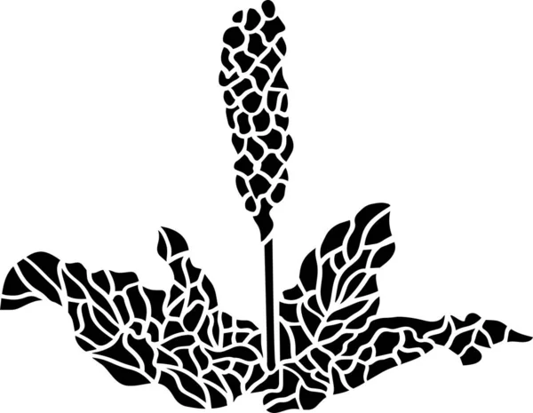Flower Vector Stencil Black White — Image vectorielle