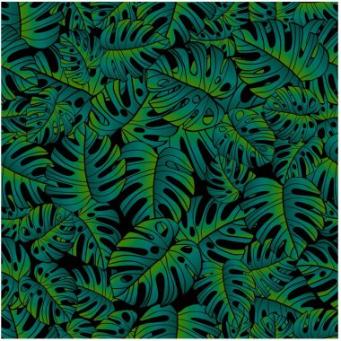 Kusursuz desen, siyah arkaplanda bölünmüş yapraklı Philodendron bitkisi