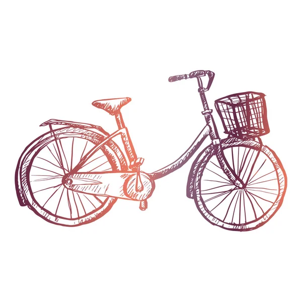 单车篮手绘图解 — 图库矢量图片