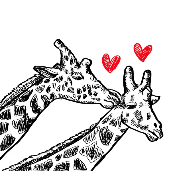 Два Влюблённых Жирафа Ручная Иллюстрация — стоковый вектор