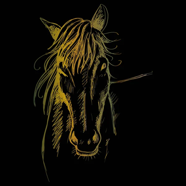 Desenho Cabeça Cavalo Desenho Ilustração —  Vetores de Stock