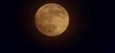 Topography image of Full moon 