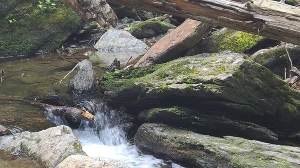 Small Waterfall Fallen Trees Mossy Rocks — Photo