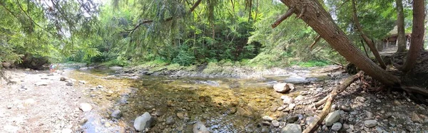 Riverbed Fallen Trees Gazebo — Stockfoto