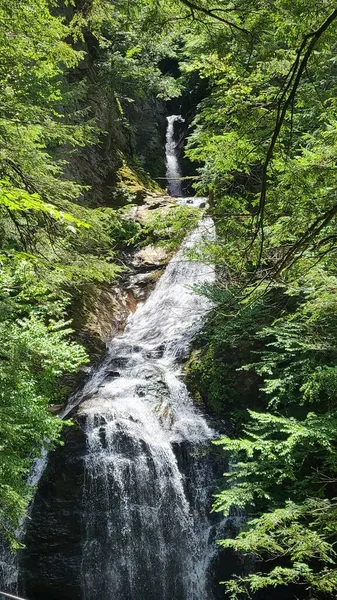 Водопад Через Лес — стоковое фото