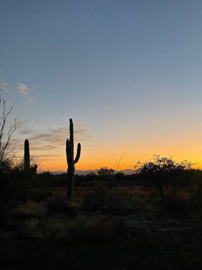 a beautiful dusk view of the Tuscon, AZ landscape.