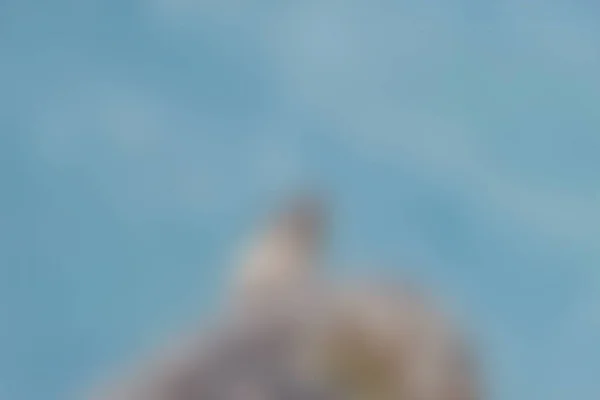 アブストラクトブラー景色背景 バナー — ストック写真