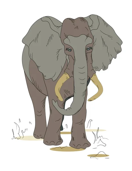 Giant animals of the Planet. Africa. Elephant. Illustration for book, card, booklet, poster, flier. Zoo products.