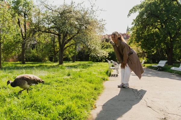 Happy african american woman in headscarf and stylish trench coat looking at peacock in park — Stockfoto