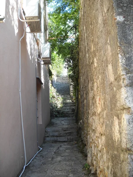 Narrow Stairway Distant Trees Perast Montenegro — Stok fotoğraf