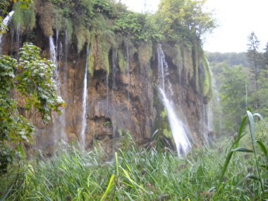 A waterfall surrounded by plants in Plitvice Lakes, HR