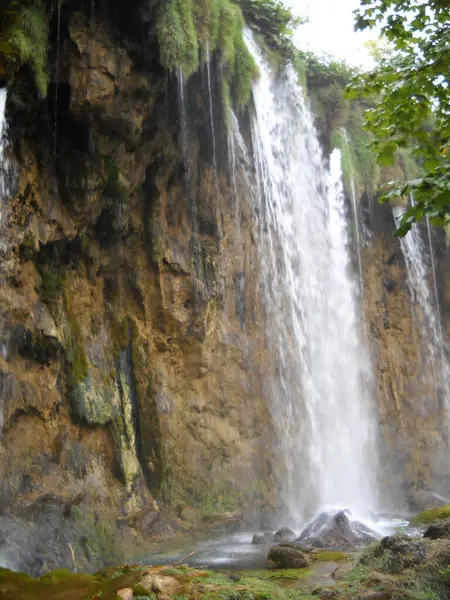 Waterfall Green Plants Plitvice Lakes — Fotografia de Stock
