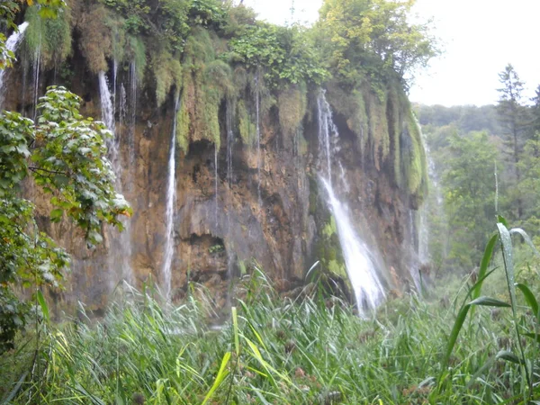 A waterfall surrounded by plants in Plitvice Lakes, HR