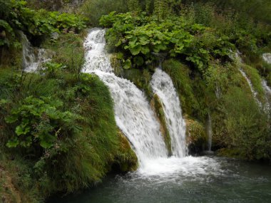 A river flowing down the rocks with waterfall in Plitvice Lakes, HR
