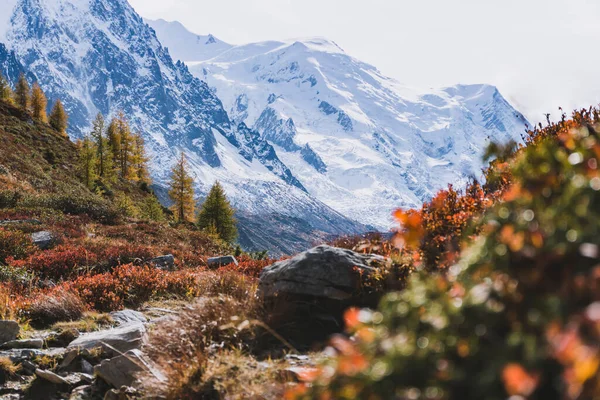 Glaciar Vista Com Cores Outono Com Chamonix França — Fotografia de Stock