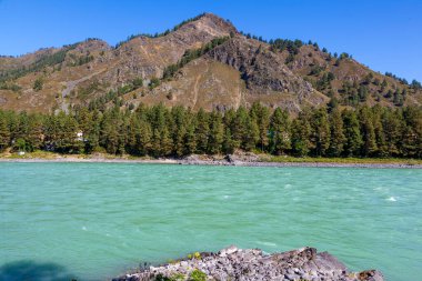 Altai Dağları, Katun Nehri, Turkuaz Nehri manzarası Katun ve Altai Dağları, Sonbahar sezonu
