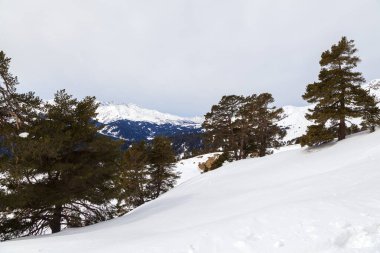 Arkhyz kayak merkezinin panoraması. Arkhyz kayak merkezinde güneşli bir gün. Kış dağları ve orman.