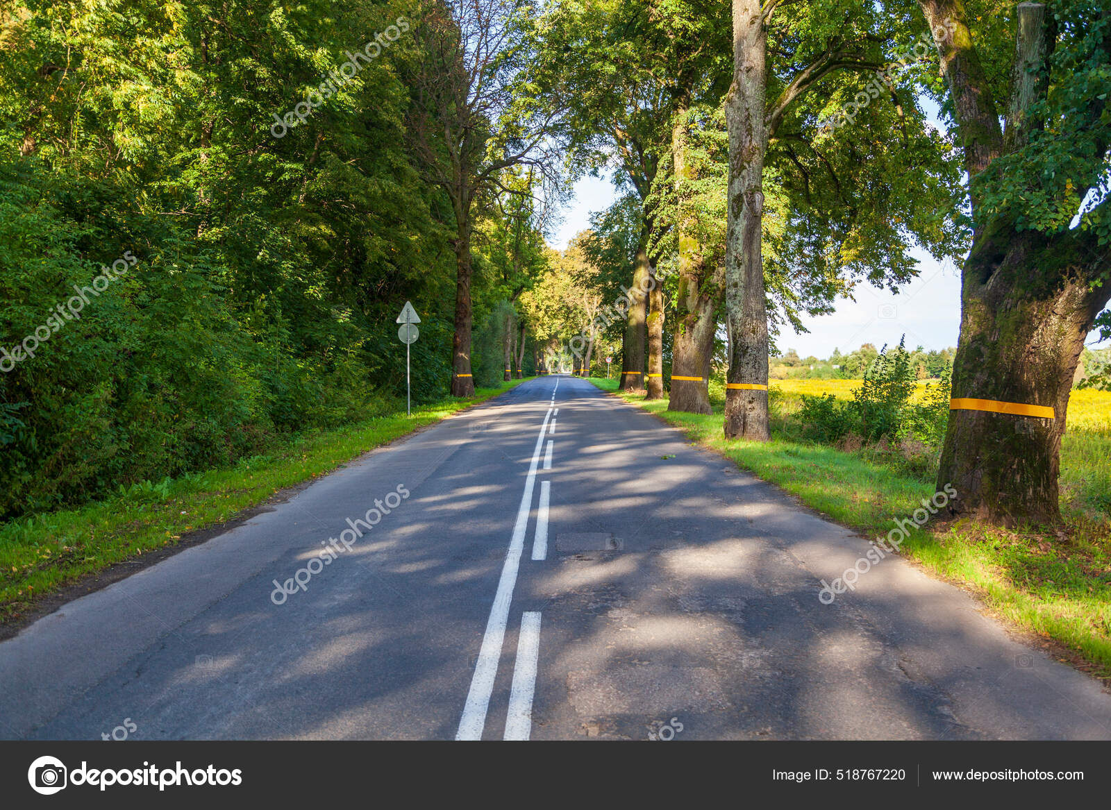 Фото Немецких Дорог