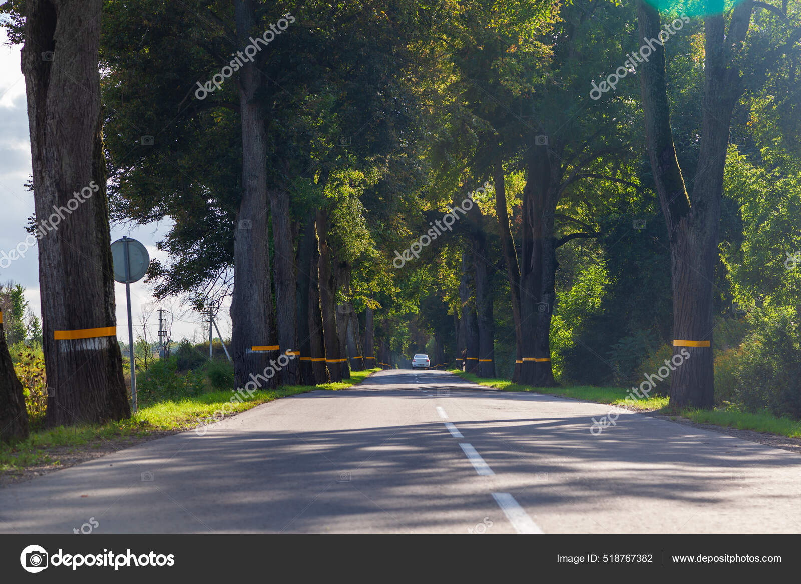 Фото Немецких Дорог