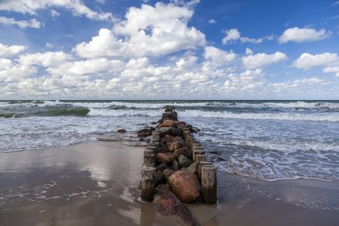 Baltık Denizi kıyısı açık sonbahar havası, kumsalda ahşap dalgalar