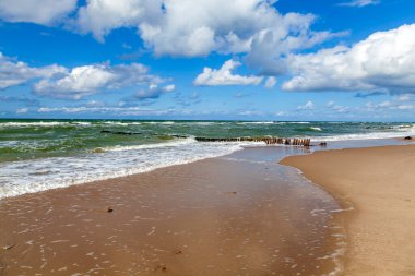 Baltık Denizi kıyısı açık sonbahar havası, kumsalda ahşap dalgalar