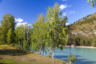 Altai Dağları, Katun Nehri, Turkuaz Nehri manzarası Katun ve Altai Dağları, Sonbahar sezonu