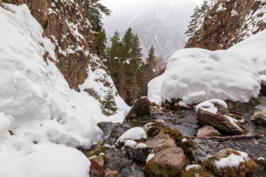 Bahar, bir dağ nehrinin kıyısında kar, orman ve dağlar, eriyen karlar..