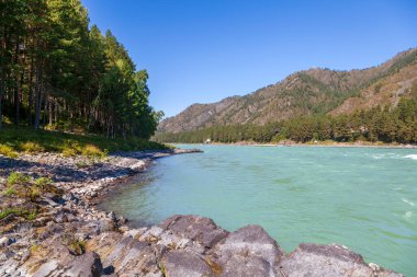 Altai Dağları, Katun Nehri, Turkuaz Nehri manzarası Katun ve Altai Dağları, Sonbahar sezonu