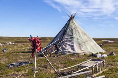 Kuzeydeki küçük insanların yaşamı ve günlük yaşamı, Nenet 'lerin evi, ren geyiği kampı.. 