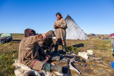 Kuzeydeki küçük insanların yaşamı ve günlük yaşamı, Nenet 'lerin evi, ren geyiği kampı. Nadym, Rusya - 4 Temmuz 2021