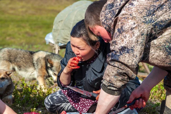 北部少数民族的生活和日常生活 涅涅茨人的住所 驯鹿营地 Nadym Russia July 2021 — 图库照片