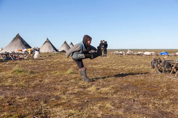 Resident Tundra Extreme North Yamal Pasture Nenets People Children Playing — стоковое фото