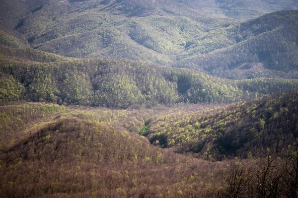 Raczej Brązowy Niż Zielony Krajobraz Pokryty Wzgórzami Drzewami Góry — Zdjęcie stockowe