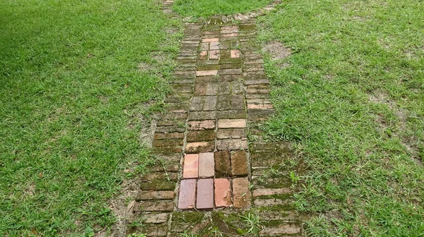 Brick Path Nowhere — Stockfoto