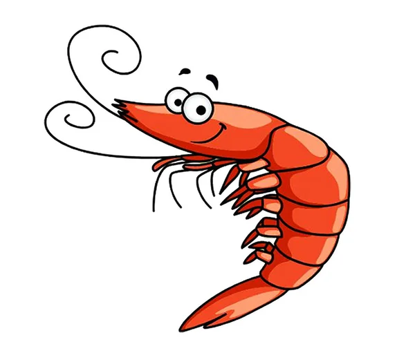 Eye Catching Lovely Illustration Animal Called Shrimp — Stock Vector