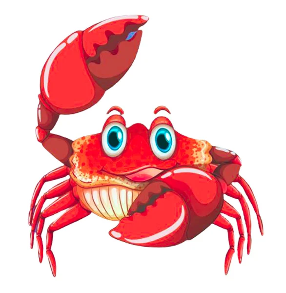 Attractive Eye Catching Vector Design Red Color Crab Cartoon — Stock Vector