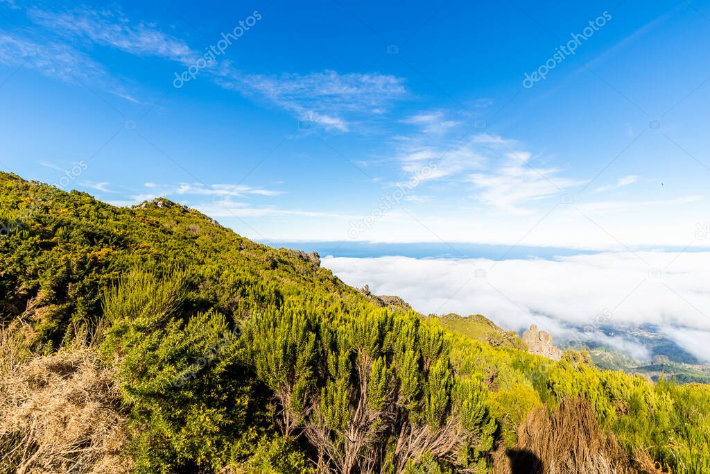 View over above the clouds in the mountain Achada do Teixeira on the island of Madeira on a winter day