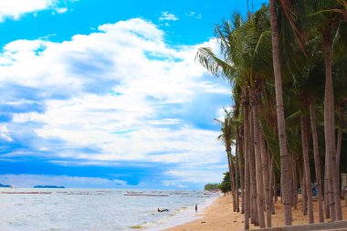 beautiful tropical pattaya beach with palm tree, cloud and blue sky