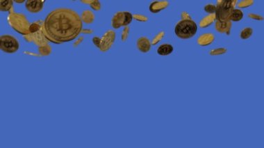 Beautiful animated shiny 3d golden bitcoin falling coin transition on the blue screen