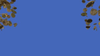 Beautiful animated shiny 3d golden bitcoin falling coin side on the blue screen