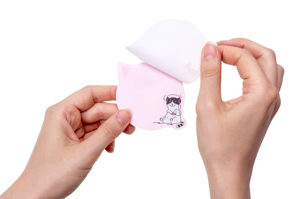 Woman Hands Holding Sticky Notes Shape Cat Head Isolated White — 图库照片