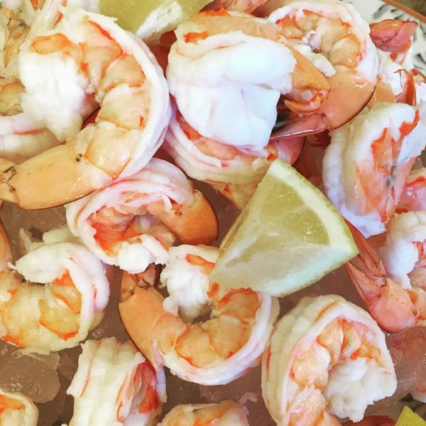 Shrimp Cocktail Appetizer Food — 스톡 사진