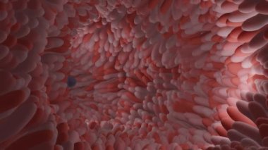 A blue transparent soft gelatin capsule swallowing through the intestine tract (3D Rendering)